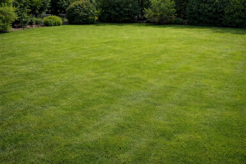 Veliki travnjak u dvorištu pogodan za izgradnju ribnjaka